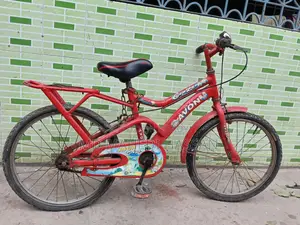 Small Bicycle