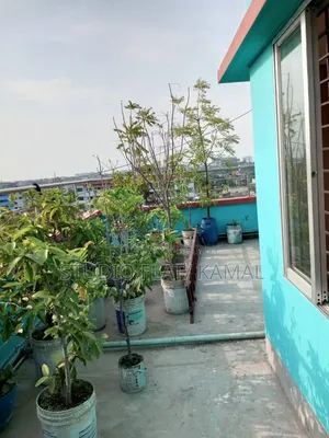 Mini Flat in ইন্সট্যান্ট ৫ জুন, Mirpur for rent