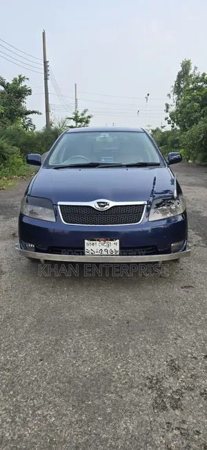 Toyota Corolla Fielder 2004 Blue