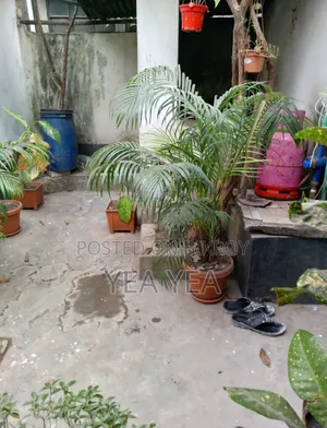 5bdrm House in Uttara for Sale