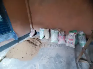 Wood Shavings