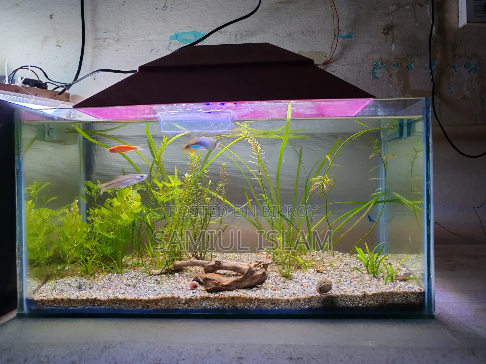 18x9x9 Planted Aquarium Set