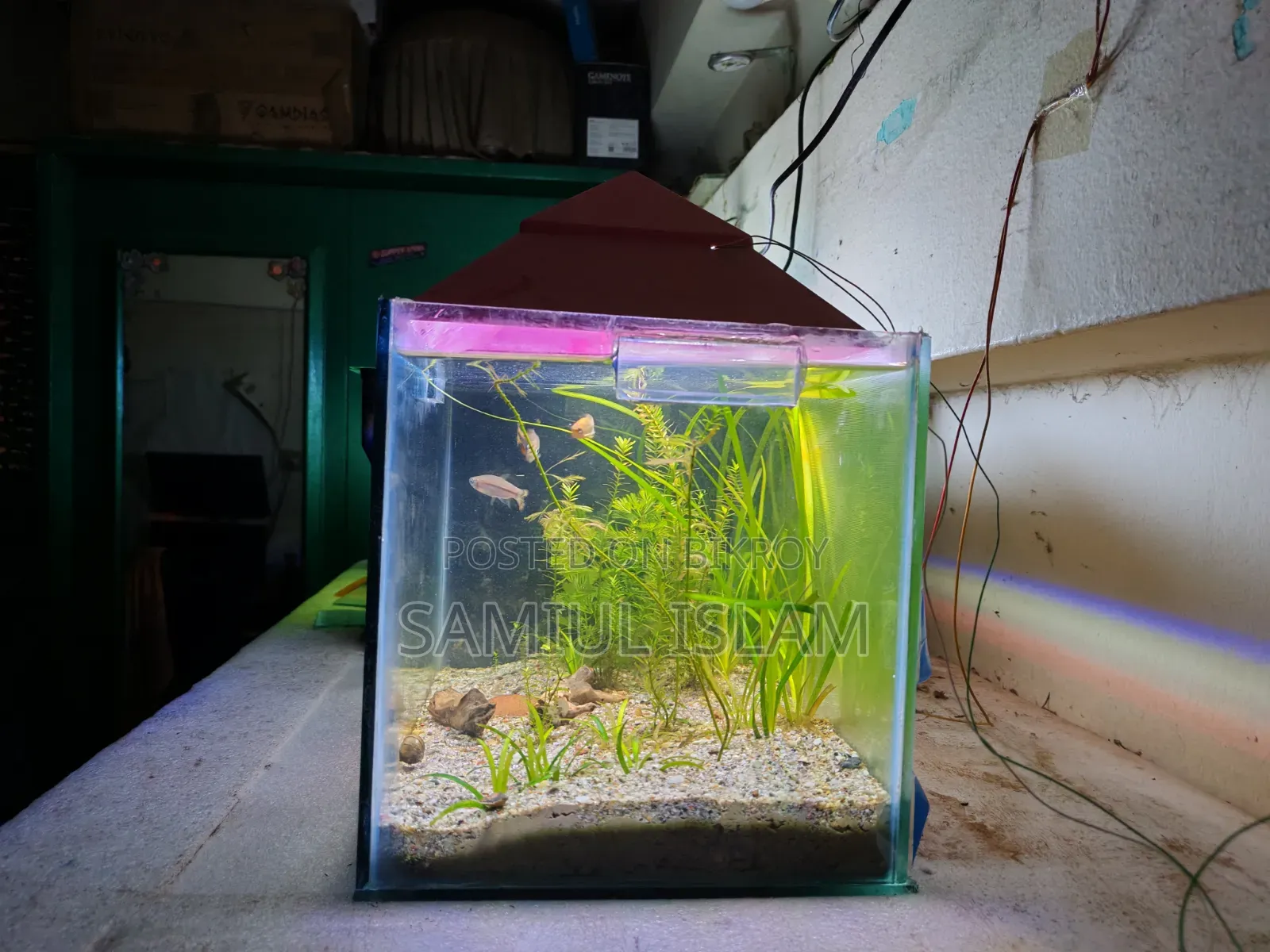 18x9x9 Planted Aquarium Set