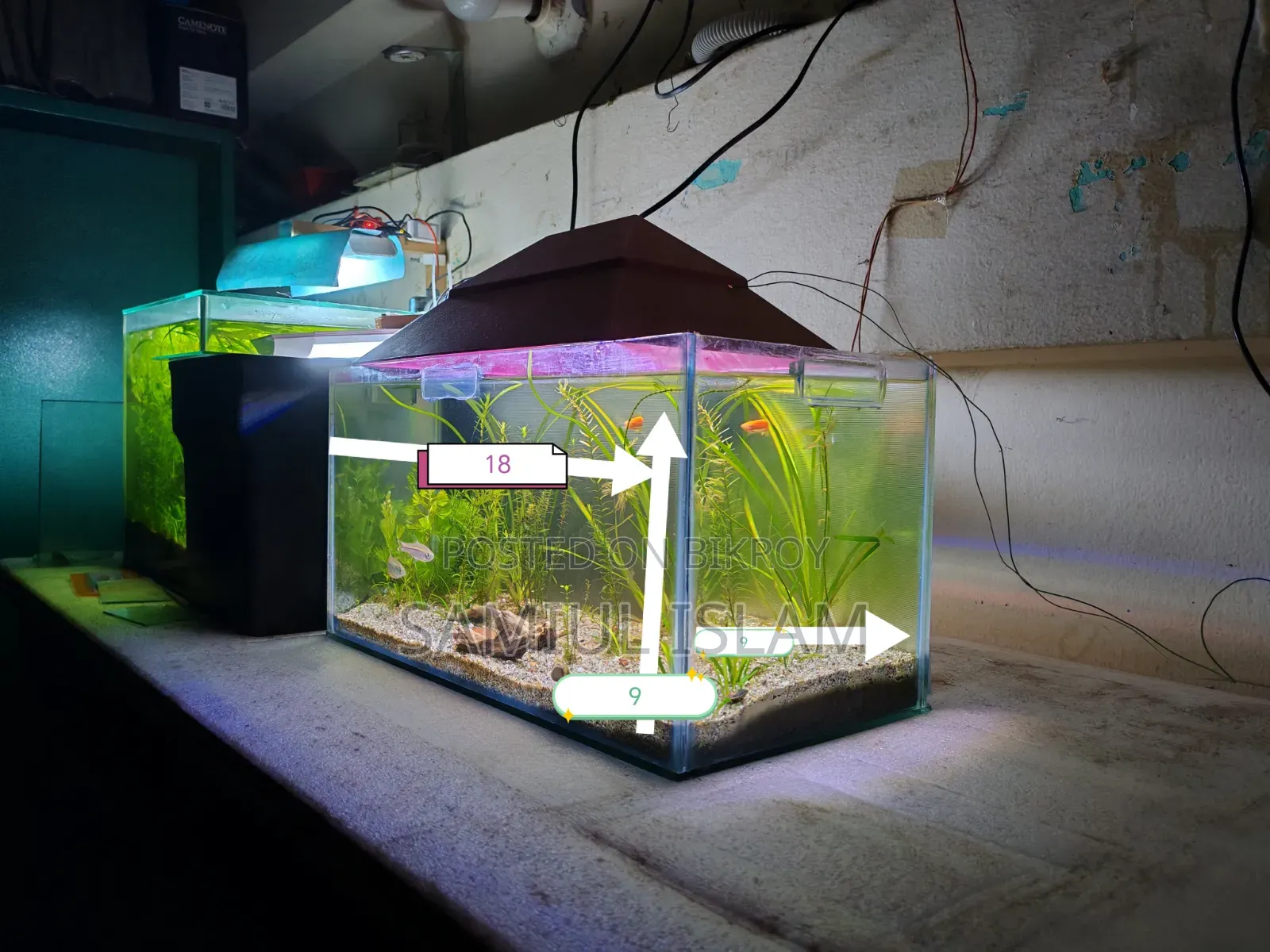 18x9x9 Planted Aquarium Set