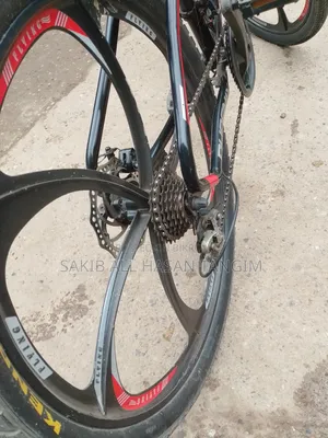 Phoenix Bicycle