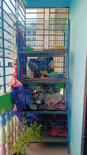 Chicken Cage - Murgi Khaca