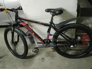 Good Condition Bicycle