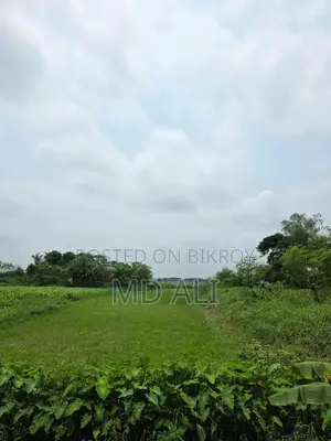 মুন্সিগঞ্জ সিরাজদিখানের সৈয়দপুরে চারদিকে রাস্তাসহ প্লট বিক্রি হবে