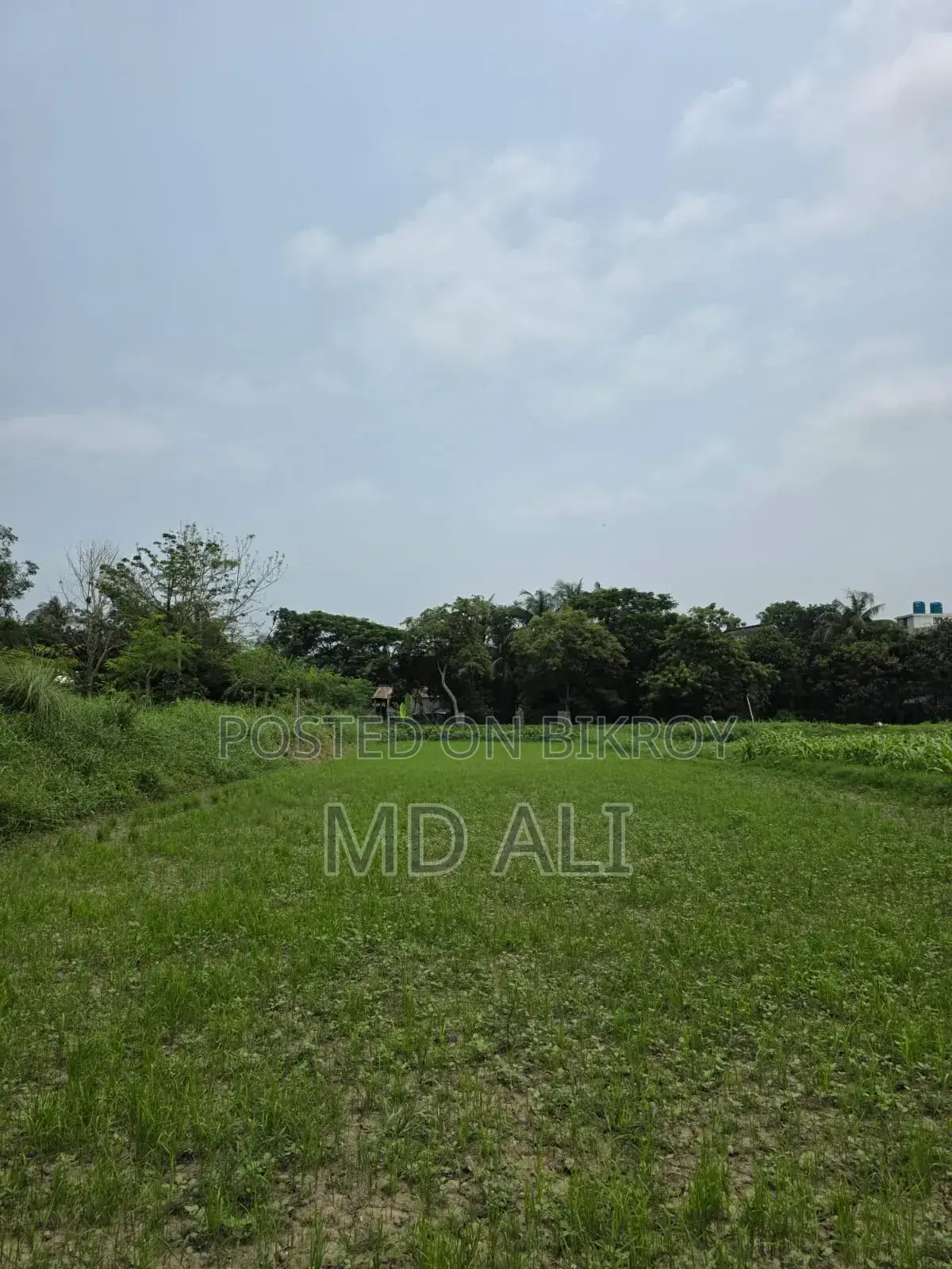 মুন্সিগঞ্জ সিরাজদিখানের সৈয়দপুরে চারদিকে রাস্তাসহ প্লট বিক্রি হবে