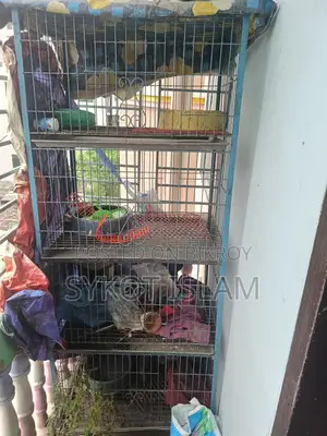 মুরগির খাঁচা