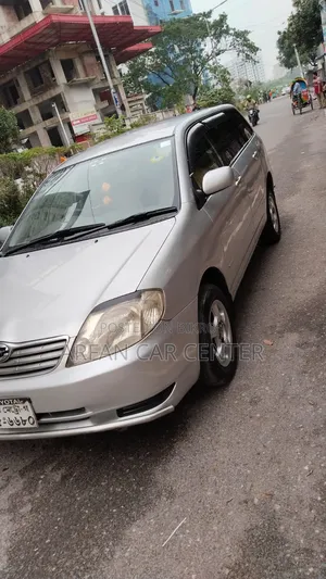Toyota Corolla Fielder 2003 Silver