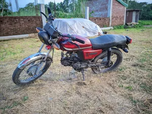 Bajaj Freedom 2015 Red