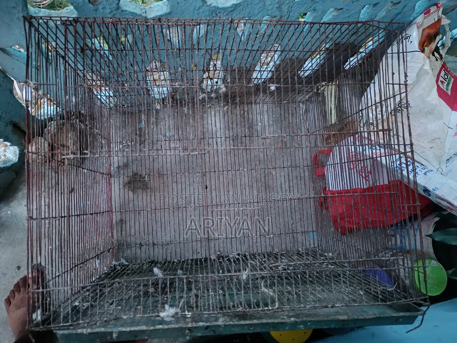 ১৮/২৪ খাঁচা