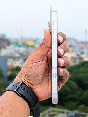 অ্যাপল আইফোন ১৭ প্রো ম্যাক্স ২৫৬ জিবি সিলভার