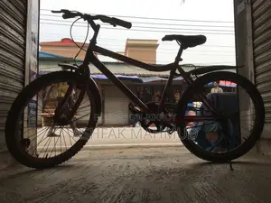 Non-gear Phoenix Bicycle for Sale