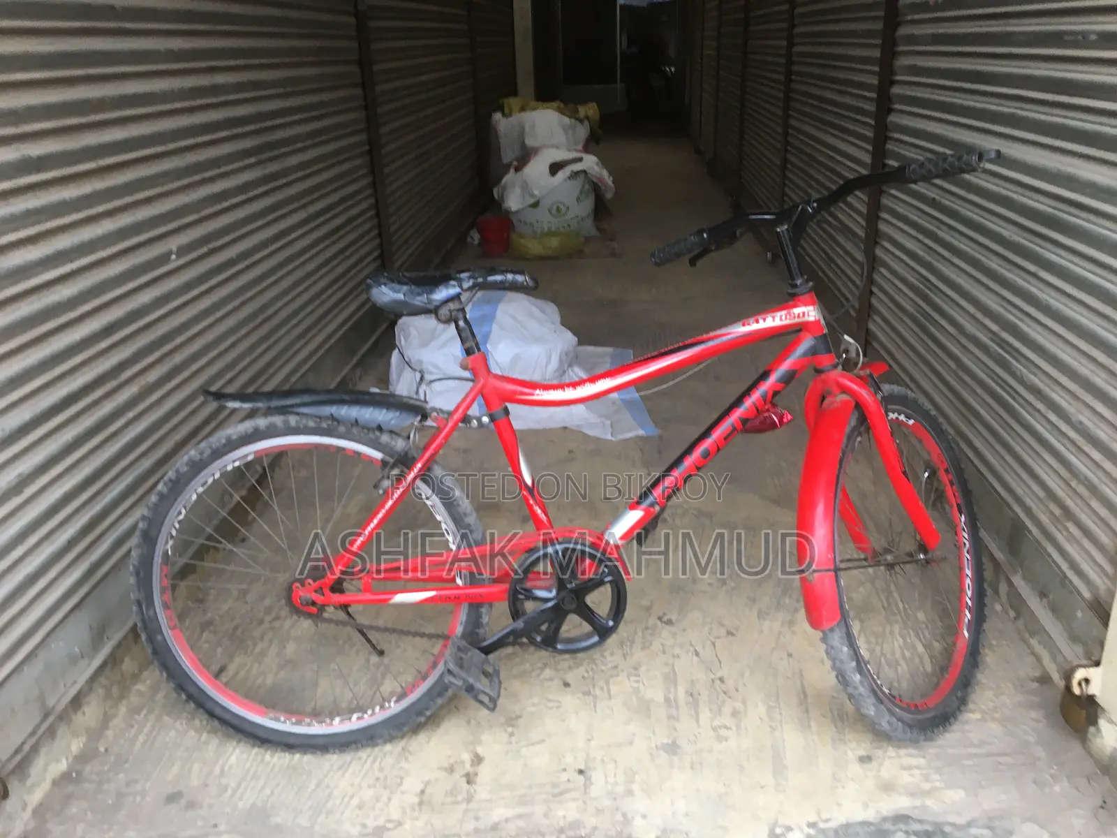 Non-gear Phoenix Bicycle for Sale