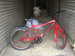 Non-gear Phoenix Bicycle for Sale