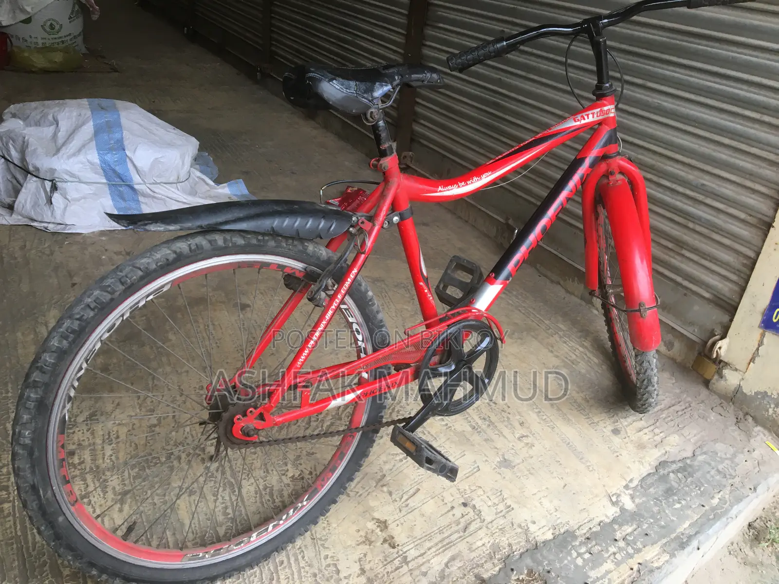 Non-gear Phoenix Bicycle for Sale