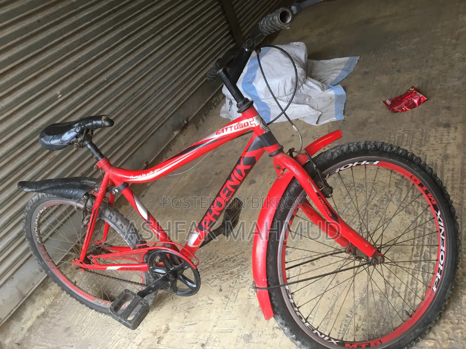 Non-gear Phoenix Bicycle for Sale