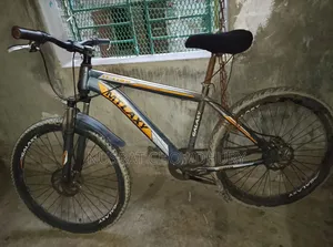 Bicycle without gear