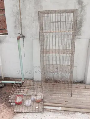 কবুতর এন্ড পাখির খাঁচা