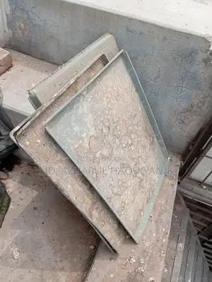 Pigeon and Bird Cage