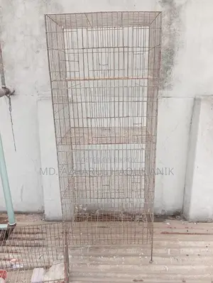 Pigeon and Bird Cage