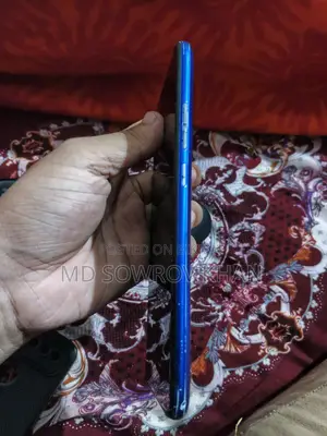 Rajshahi Himsagar Mango