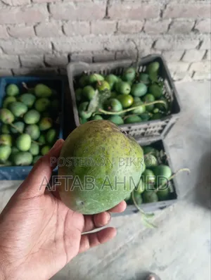 রাজশাহীর হিমসাগর আম