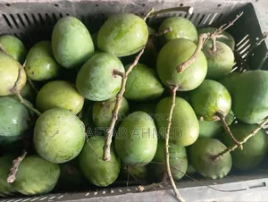 রাজশাহীর হিমসাগর আম