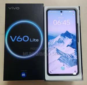 New Vivo V60 Lite 4G 256 GB Gray