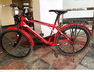 Victory Matrix Bicycle for Sale