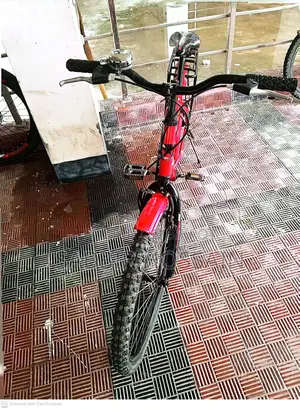Victory Matrix Bicycle for Sale