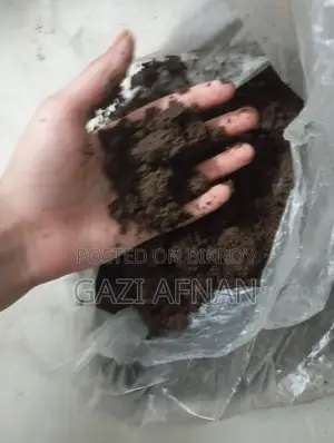 Cactus and Cactus Soil