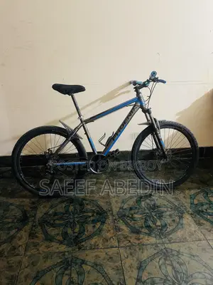 Phoenix Aluminium Cycle