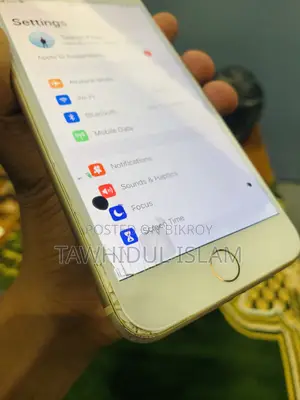 ক্যাট ৬৪ জিবি গোল্ড
