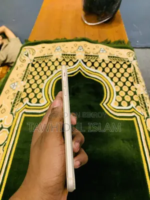 ক্যাট ৬৪ জিবি গোল্ড