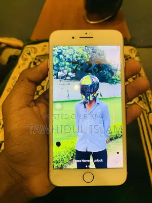ক্যাট ৬৪ জিবি গোল্ড
