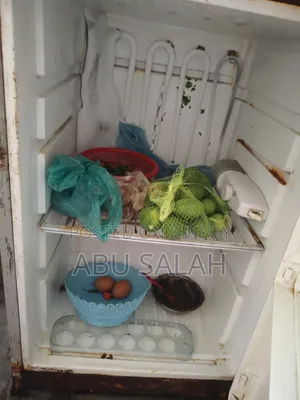 Singer Refrigerator