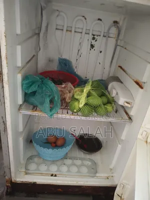 Singer Refrigerator