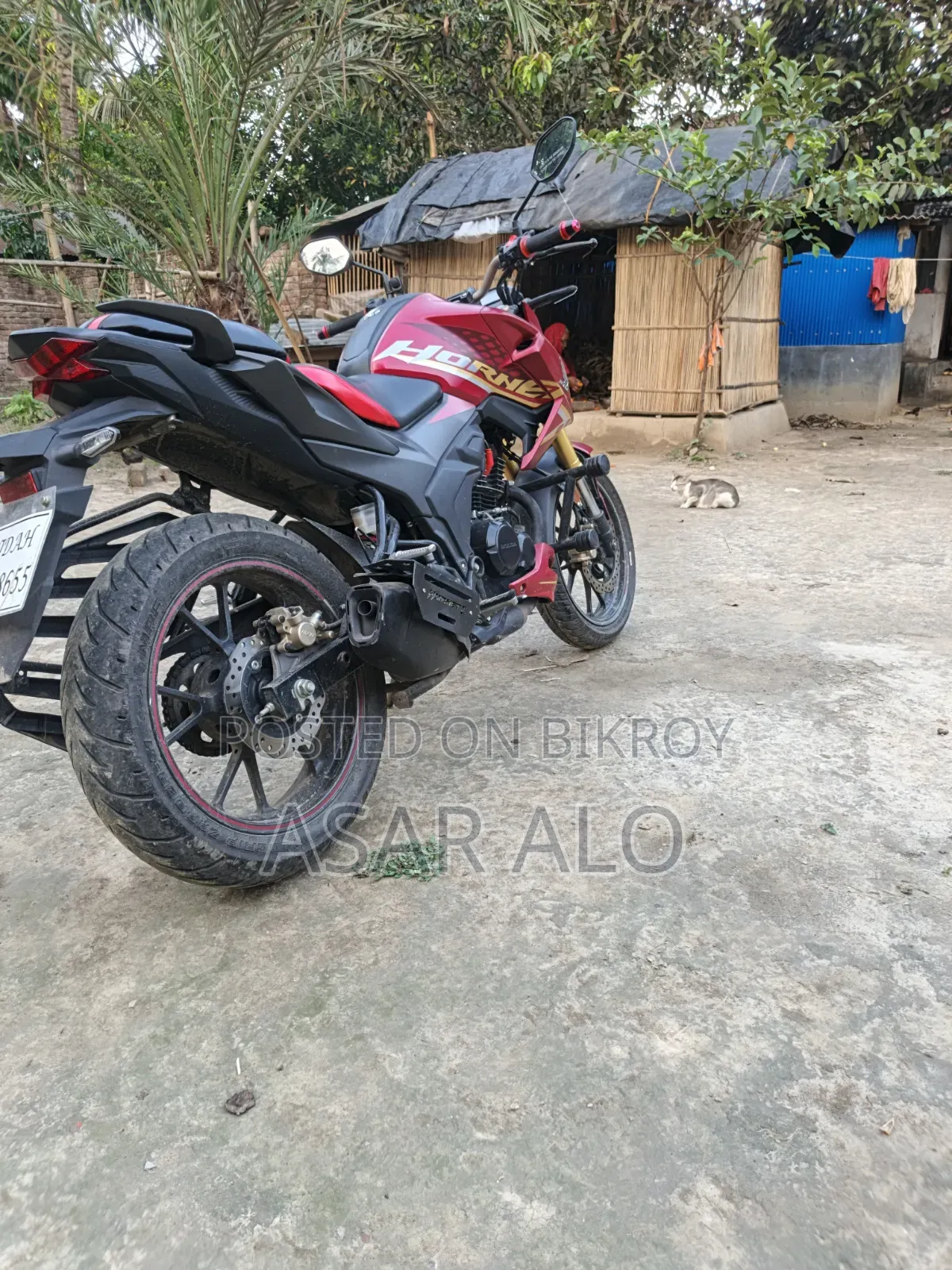 Honda Hornet 2025 Red