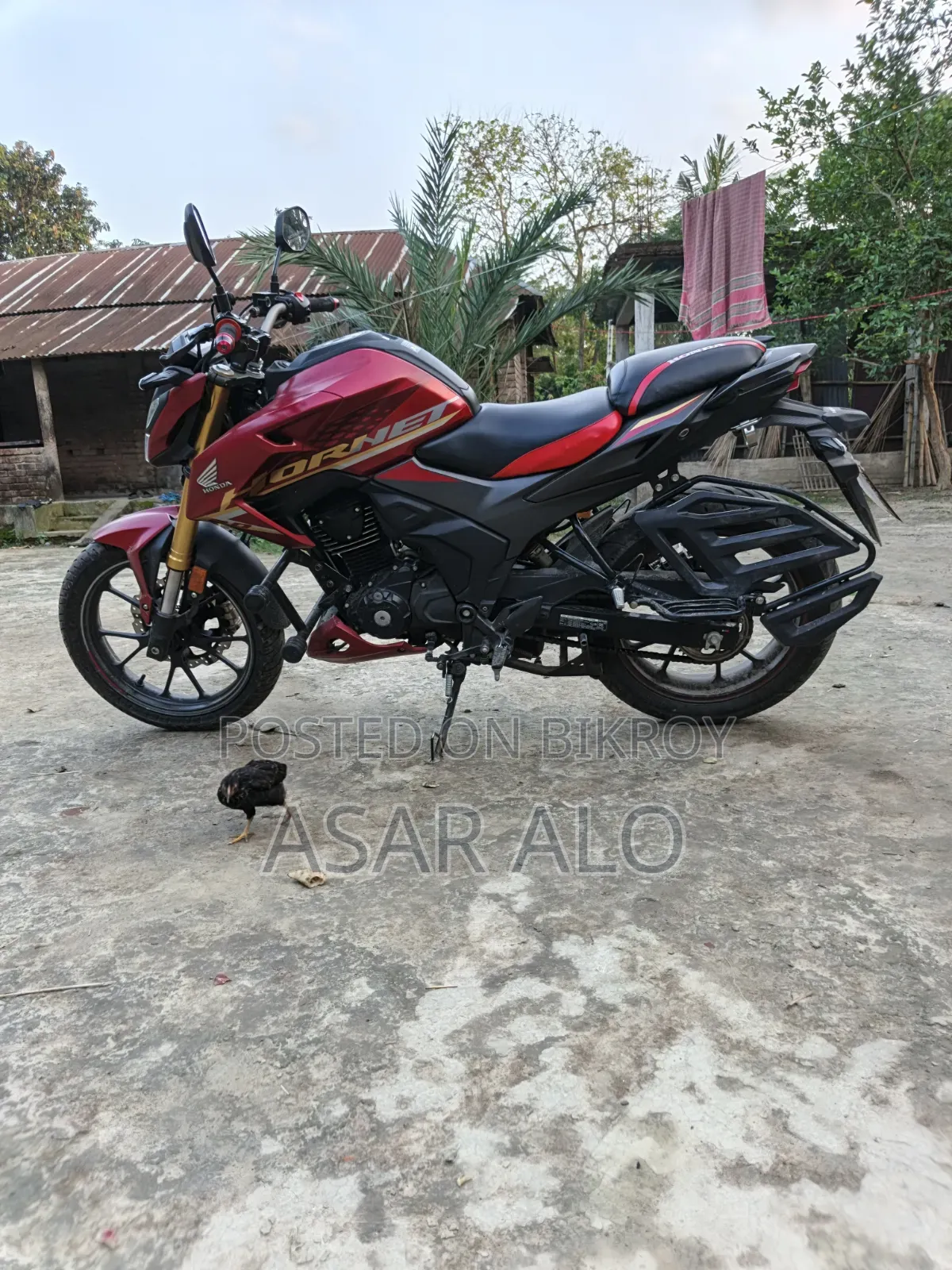 Honda Hornet 2025 Red