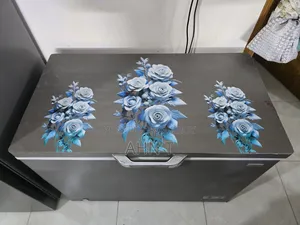 Singer Deep Fridge