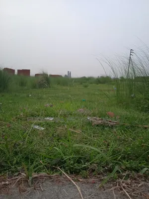 5 Katha Premium North-Facing Plot for Sale in Bashundhara N Block Extension
