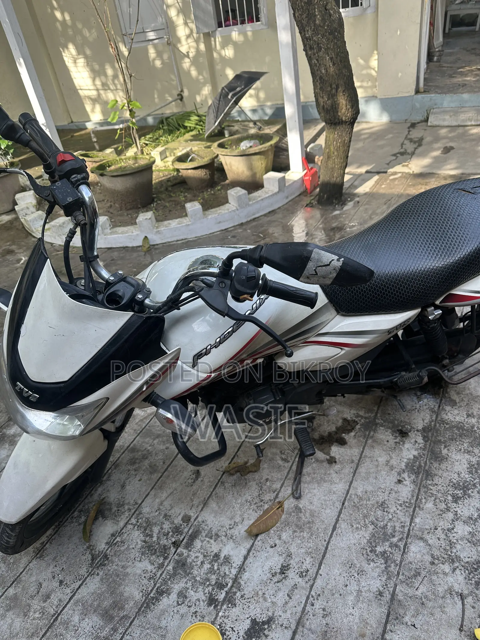 TVS 2017 White