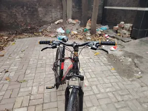 Amir Fresh Cycle