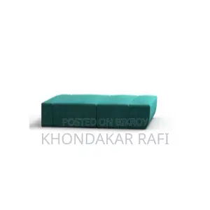 Sofa Cum Bed (Regal)