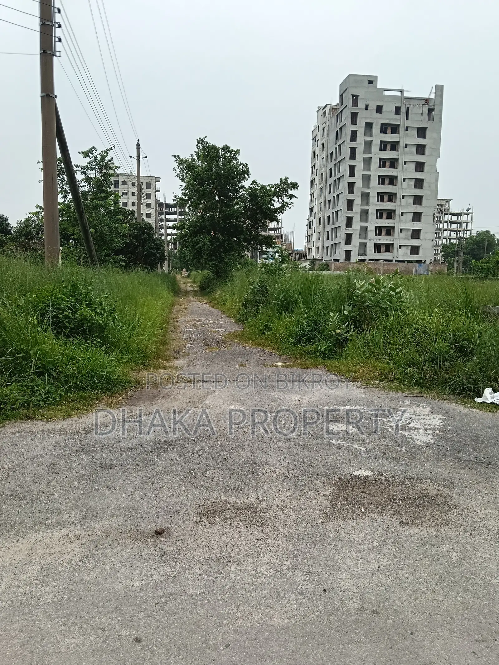 30ft Road 3 Katha Park South at Sector-17/A1