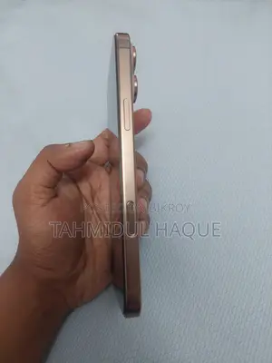 Apple iPhone 16 Pro Max 256 GB Rose Gold