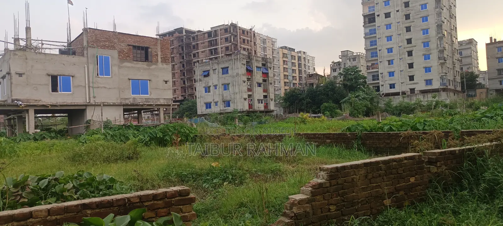 জরুরি বিক্রি: উত্তর বাড্ডা ২৫ নং লেনে ৬ কাঠা রেডি বাউন্ডারি প্লট